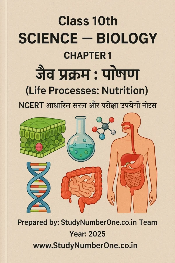 Class 10 Biology Chapter 1 Notes